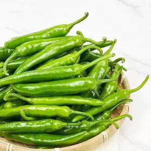 새벽시장 국내산 청양고추 땡초 풋고추 엄청매운고추 고추장아찌용 탕용 매운맛고추 3kg
