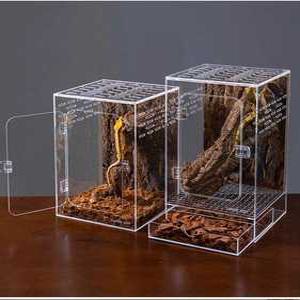 파손시 100 교환 하이하이판다 크레스티드게코사육장 아크릴 비바리움 개코 기본모델 세트 도마뱀 집 백스