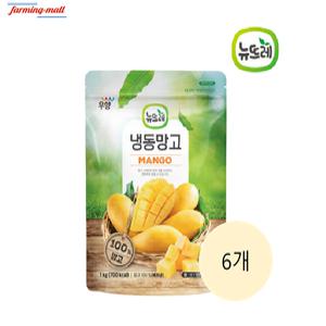 [보금푸드] 뉴뜨레 냉동 망고 베트남산 1kg x 6개