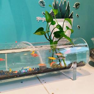 어항꾸미기 원통형어항 희귀열대어 직경 중간 가로형 열대어 탁상용 마블가재