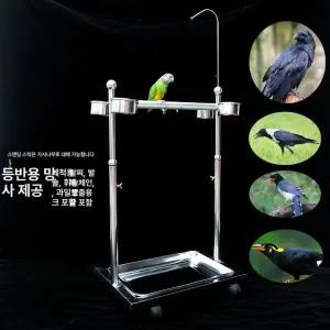 앵무새 횟대 놀이터 키우기 중형 새집 새집 모이통 럭키티엔