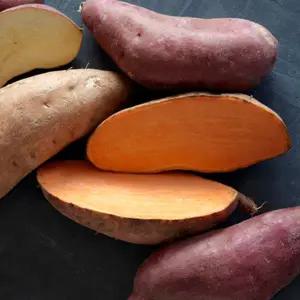 [롯데백화점]고창베리세상 [베리세상]해남 호박고구마 10kg(대)