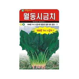 월동 시금치 씨앗 20g 채소씨앗 토종 재래종 가시시금치 국산 종자