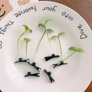 새싹 기본 머리핀 핀 삔 모던 쓸데 없는 웃긴 선물 쓸 새싹머리핀 새싹삔 음식삔 새싹핀