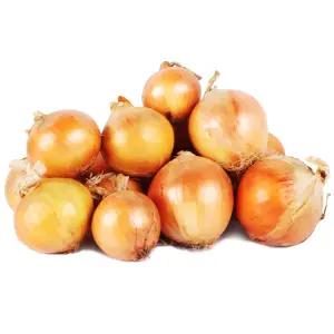 [특가] 국내산 25년 양파 사이즈 중소 혼합 10kg