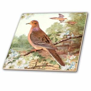 12인치 세라믹 타일 - 애도 도브 빈티지 버드 아트 터틀도브 일러스트 프린트 디자인