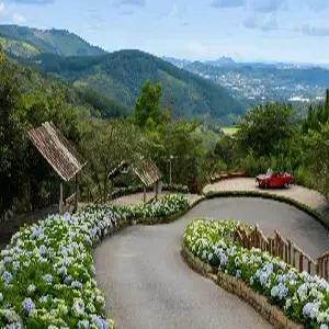 [청주출발] 나트랑/달랏 5일 #NO옵션 #$200상당혜택 #전일정5성호텔 #나트랑오션뷰 #달랏생태공원 #랑비엔SUV #마사지2회 #야시장