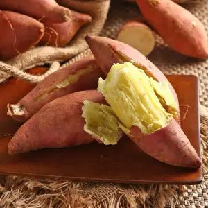 해남 밤 고구마 밤맛 퍽퍽한 진율미 밤고구마 못난이 10kg 랜덤과 비세척 25년 햇밤고구마