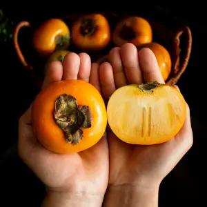 아삭 달콤 고당도 국내산 단감 태추 부유 햇 단감 10kg 특과 41-50과