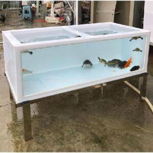 대형 수조 물고기 대형수족관 블랙 맞춤 거북이어항 수중 제작 업소용 탱크