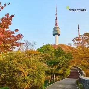 [남산] N서울타워 전망대 이용권