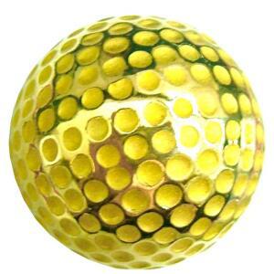 순금 금 골프공 골프  30g 기념 선물 황금