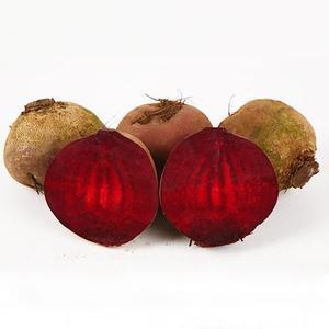 [햇살조은]제주 햇 레드 비트 5kg(특품) 레드비트