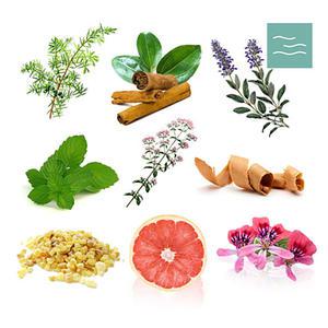 30가지 천연유래 아로마 에센셜오일100ml 100% PURE