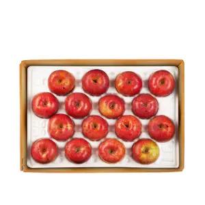 [롯데백화점]장길영사과 [장길영사과] 사과 알뜰 특대과 10kg(20-32과)