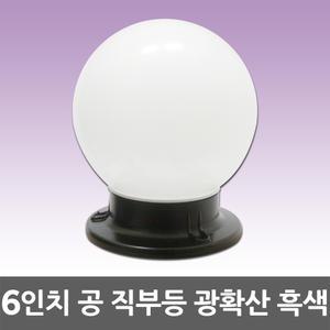 6인치 공 직부등 흑색 광확산 현관 창고 베란다 방수조명 방습 간판 PC글로브 외부조명 야외등 볼전구 조명