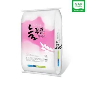 2025년산 늘푸른라이스 GAP 인증 국산 찹쌀 20kg 햅쌀