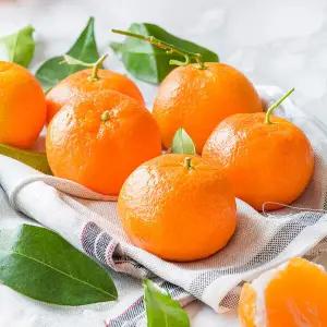 당도높은 제주효돈감귤 5kg(37~40입내/2L)