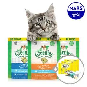 그리니즈 필라인 130g 3개 골라담기+캣닢쿠션+템테이션12gx3팩