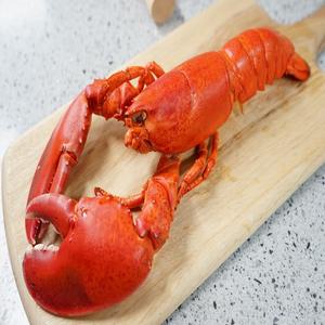 랩쿡 캐나다 자이언트 킹 자숙 냉동 랍스터 2마리 1300g내외