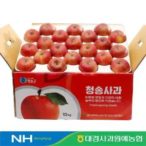 [대경사과원예농협]청송 정품 사과 10kg 46과내 부사