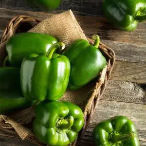 [산정마을] 싱싱한 피망 청피망 1kg