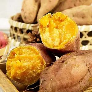 건강한 태안 안면도 호박고구마 특왕 10kg (박스포함)