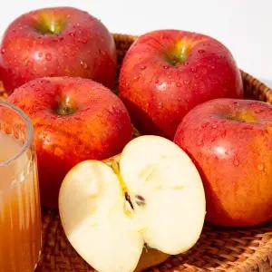 [미식한가] 새콤달콤 아리수 사과(가정용) 3kg / 부사 / 홍로 / 아오리