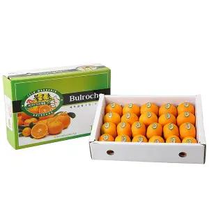 [롯데백화점]내당농산 [내당농산]제주 불로초 감귤 1.5KG 제주도 타이벡 밀감 귤