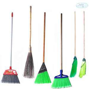 태즈컴퍼니 코코넛야자수대비 도로비 롱비 대비모음