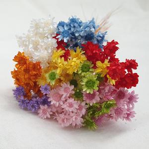 드라이플라워 프리저브드 스타플라워