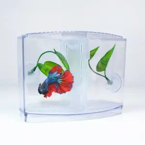 아마존 2분할 베타 칸막이 어항 K-4 2칸 베타어항