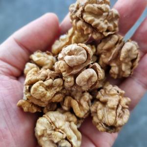 국산호두 호두살 조각살 온살 500g