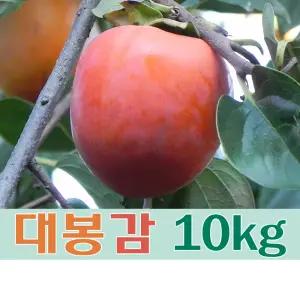 (팔공산농원) 대봉감 10kg