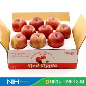 [대경사과원예농협]당도선별 햇사과 2.5kg 10과내 중과