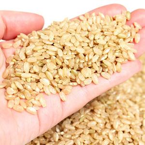 [롯데백화점]팜투맘 [팜투맘] 유기농 현미 1kg × 3봉