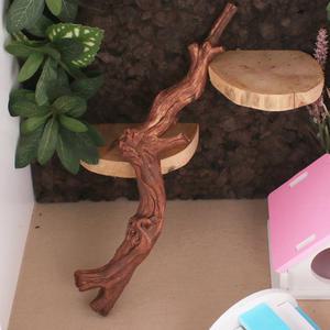 인조유목 도마뱀 사육장 비바리움 백업 유목 도마뱀백업