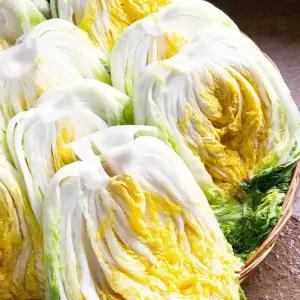 도착일 지정 HACCP 해남절임배추 20kg 김장 절임 배추 김치