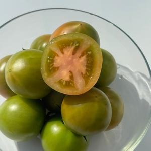 프리미엄 부산 대저 짭짤이 토마토 로얄과 (2s~s) 2.5kg