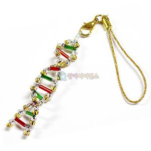 비즈DNA모형 만들기(10인용)