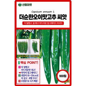 산들마켓 THE순한오이맛 고추 씨앗 100립 조생종 과장이 길고 순한맛 부드러운 대과종 품종 종자