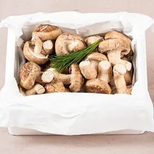 [절과당]T [산지직송] 친환경 경북구미 진송향버섯 1kg 송향/송화