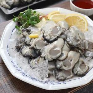 통영 생굴 2kg 굴 수협 수매 1차세척 출고 당일장만 최상품굴 김장굴