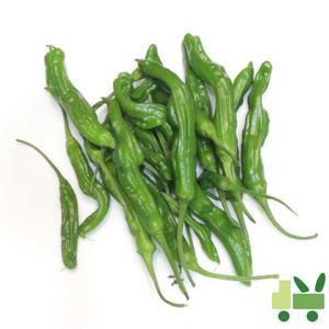 꽈리고추 8Kg (상)