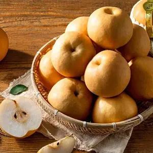 T_[나리배] 가정용 배 5kg (5-7과)