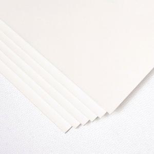 백색 라이싱지 바닐라보드 1T 1.5T 2T 사이즈 모음 A4 A3 전지 4절 8절 16절