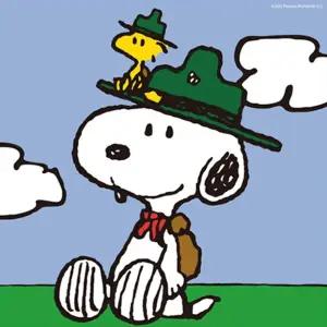 DIY 보석십자수 피너츠 캠프 스누피 20X20/십자수/만들기/공예/수예/취미