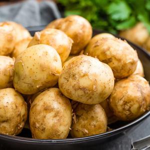 지금 딱 맛좋은 포슬포슬한 제철감자 5kg 왕특/특/대/중