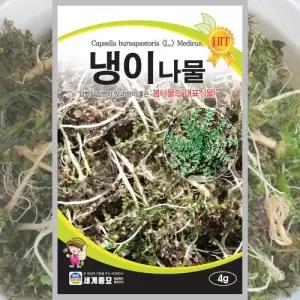 토종 냉이 씨앗 4g 종자 민속채소 냉이씨 도시텃밭