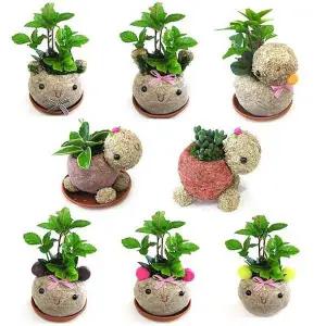 망 동물캐릭터 토피어리 화분 만들기 곰토끼칼라귀곰 중 선택